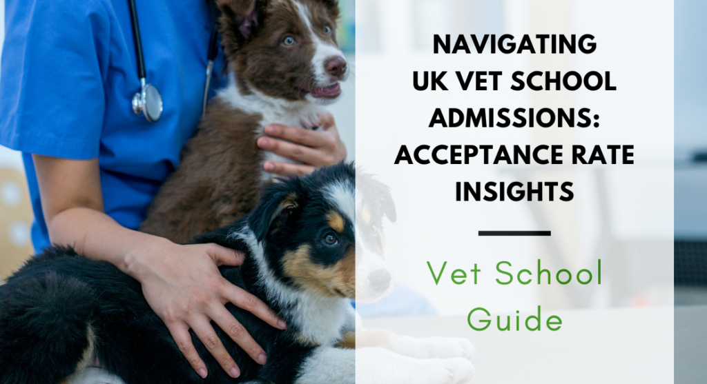 Navigating UK Vet School Admissions Acceptance Rate Insights Jason