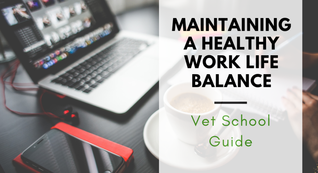 Vet School Maintaining a Healthy Work Life Balance Blog Post